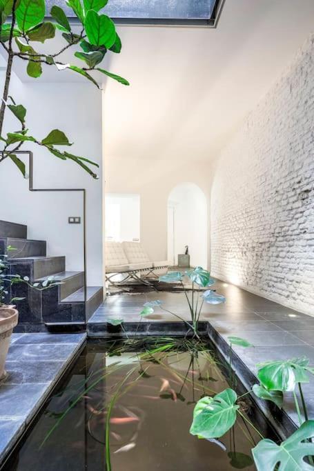 Elegante Duplex Centro Sevilla Matahacas 1 Eksteriør bilde