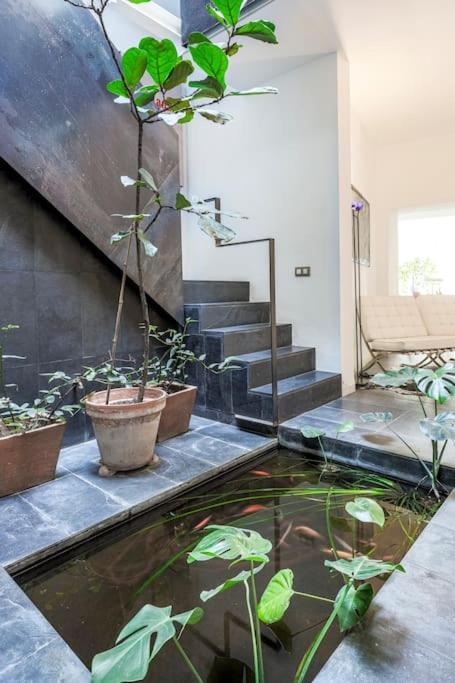 Elegante Duplex Centro Sevilla Matahacas 1 Eksteriør bilde